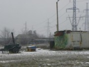 Мастер восточных единоборств помогает отлавливать бродячих собак