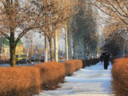 Предприятия помогают городу справиться с морозами