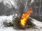 Дворники сжигают елки в центре Днепродзержинска