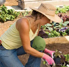 Дача для отдыха или для работы?