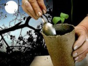 Лунный календарь садовода-огородника на март 2012