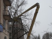 На центральных улицах Днепродзержинска обрезают опасные ветки