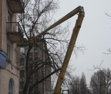 На центральных улицах Днепродзержинска обрезают опасные ветки