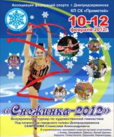 Днепродзержинск проведет соревнование по художественной гимнастике