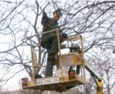 На окраине Днепродзержинска стало светлее