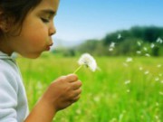 В Днепродзержинске проводится Всеукраинская олимпиада по экологии