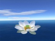 В Днепродзержинске открыт клуб ведической культуры