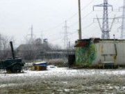 Планируется объединить коммунальные предприятия «Зеленстрой» и «Фауна города»