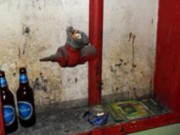 В Днепродзержинске прошла операция «Высотка»