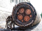 На ДМК разоблачили «металлистов»