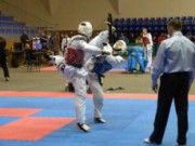 Днепродзержинские спортсмены показывают высокую подготовку на чемпионате по тхеквондо