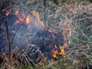 В Днепродзержинске все чаще горит трава