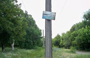 Программа мероприятий благоустройства Карнауховки