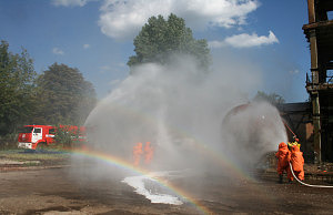Под Днепродзержинском тренировались тушить лесные пожары