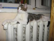 В Днепродзержинске новые тарифы на услуги централизованного отопления