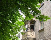 Власти Днепродзержинска потратят 80.000 на каштаны