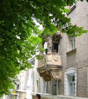 Власти Днепродзержинска потратят 80.000 на каштаны