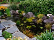 Важный элемент сада – декоративный водоем