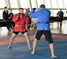 смешанные единоборства