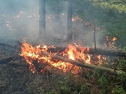 Опять горел лес