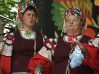 Петриківський дивосвіт 2012