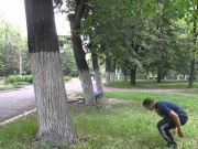 Нам нужна Паркур-площадка