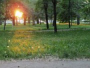 Опасный аттракцион парк