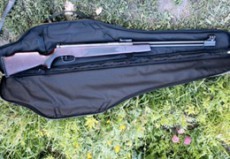 проишествие выстрел проишествие выстрел