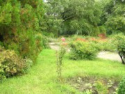 Днепродзержинский розарий закрыт розарий