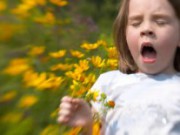 Сад, в котором нет места аллергии сад аллергия