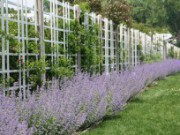 Ограждаем свой сад садовая ограда