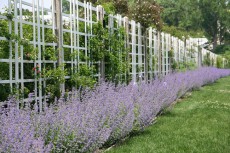 садовая ограда