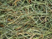 Как правильно хранить сено сено