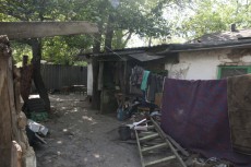 трущебы трущебы