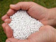 Удобрения и их применение удобрения