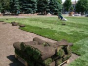 Возле театра теперь не хуже газон, чем на стадионах газонная трава