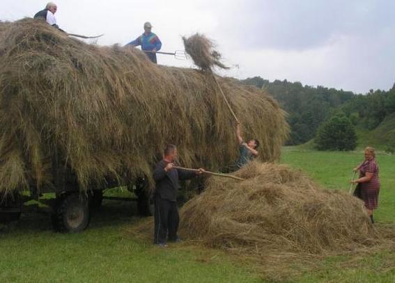 заготовка сена