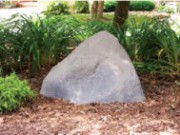 Символ вечности в вашем саду – декоративный камень камень в саду