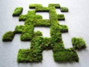 Новое течение в дизайне участков – выращиваем мох рисунки мох