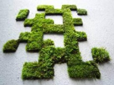 рисунки мох