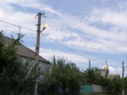 Светопреставление свет