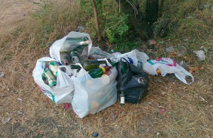 Активисты планируют убрать канал