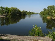 С загрязнением воды успешно борются