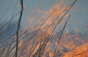 Ад своими руками