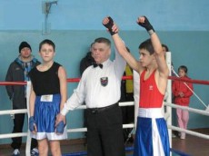 боксеры медали боксеры медали