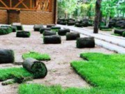 Рулонный газон – перевоплощение сада на глазах газон