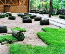 газон газон