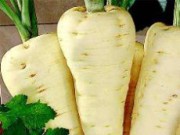Корнеплод, который может стать заменой картофелю пастернак