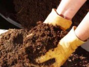 Органическая обработка почвы удобрение