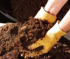 Органическая обработка почвы удобрение